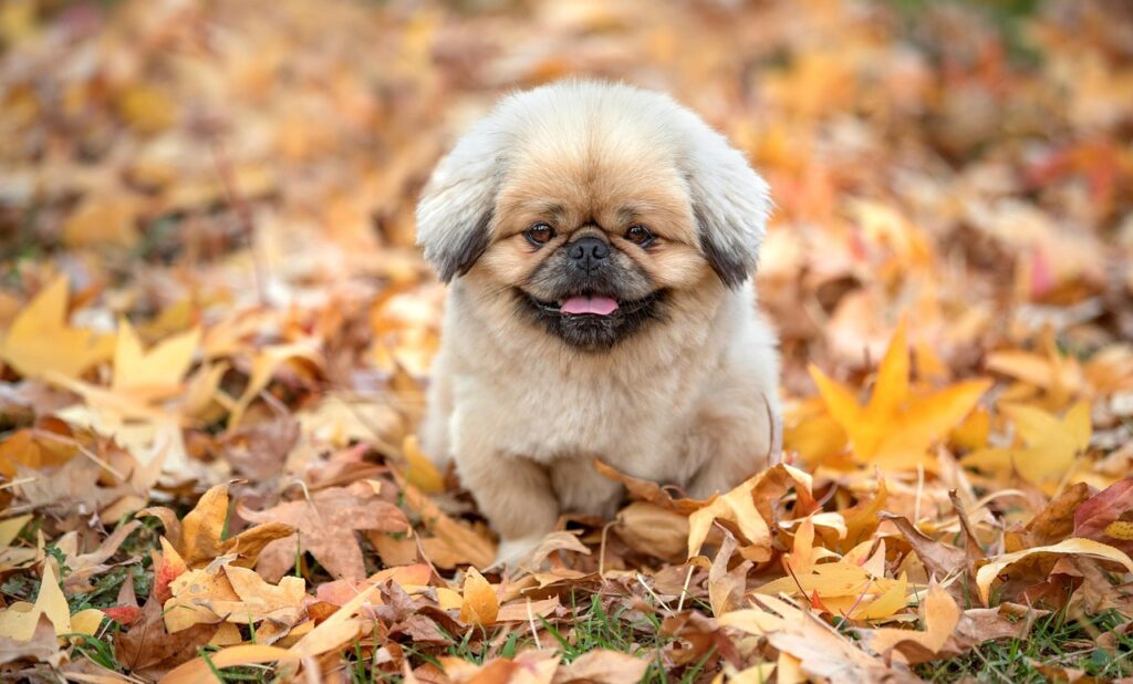 引越しを年末に格安で行うためのポイントは？