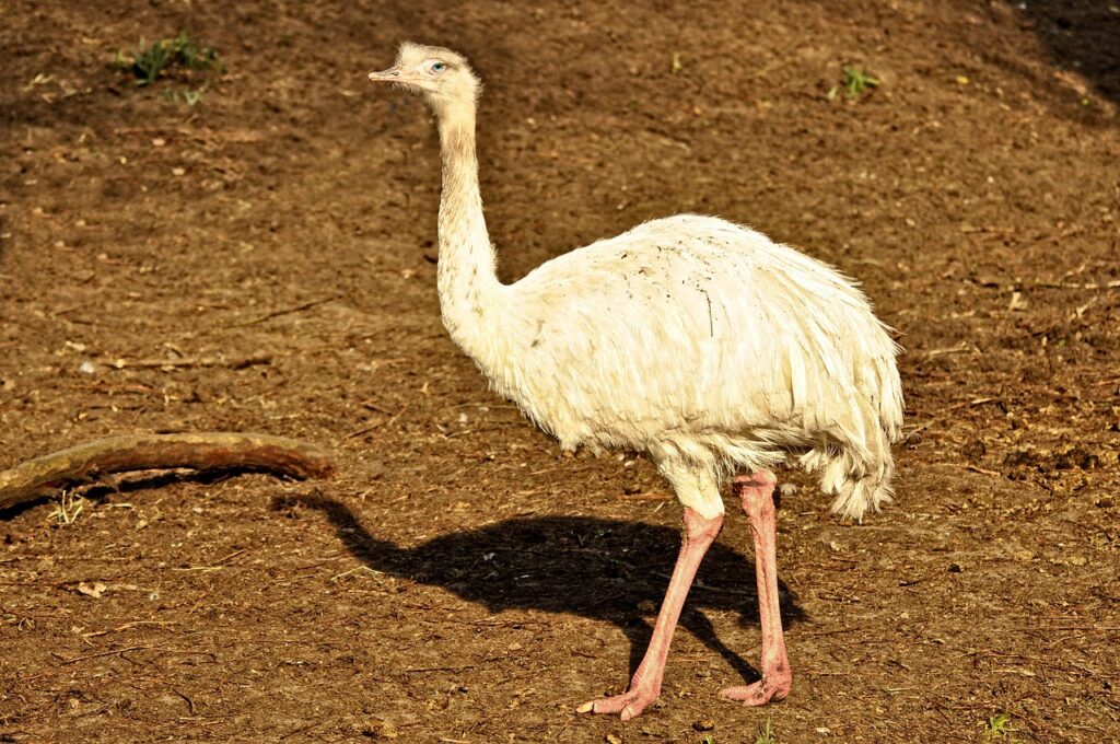 激安引越しの料金を抑えるためのポイントは？