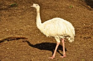 激安引越しの料金を抑えるためのポイントは？