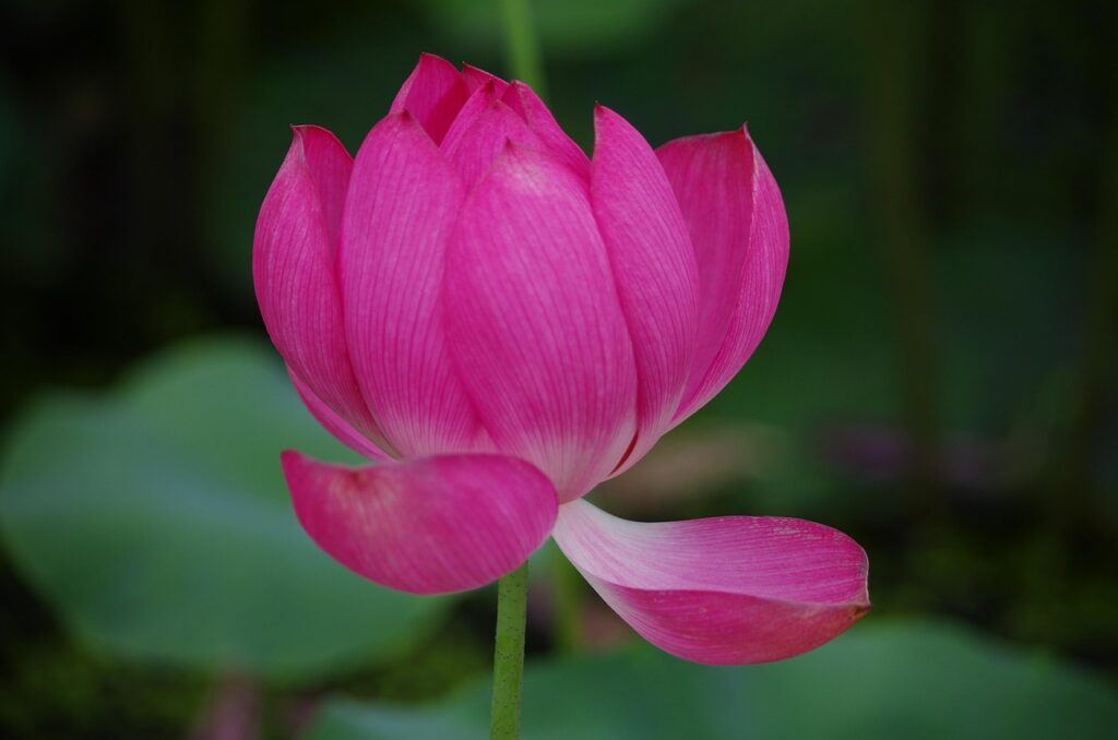 引っ越しの無料見積もりを依頼する際のポイントは？