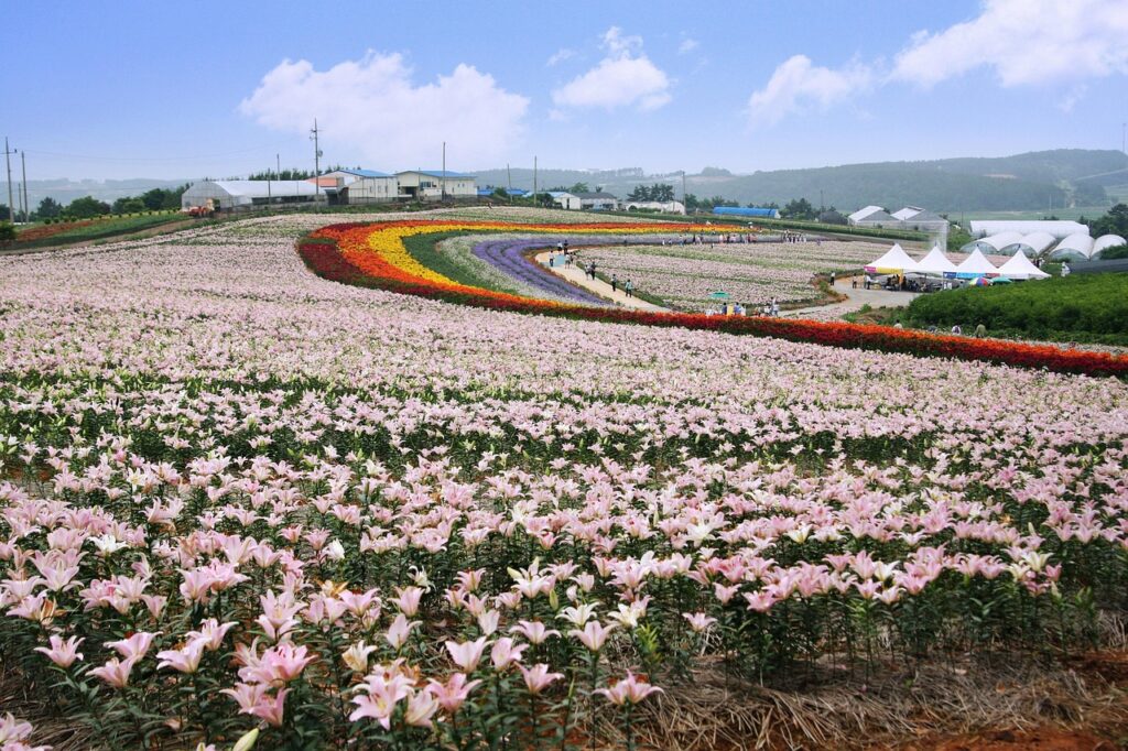 引越し一括見積もりで最安値が判明する方法は？