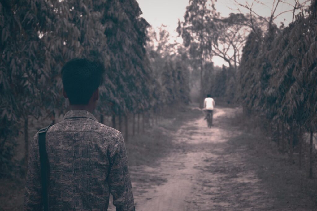 引越しの一括見積もりは本当に安いのか徹底検証しますか？