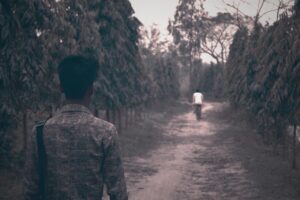 引越しの一括見積もりは本当に安いのか徹底検証しますか？