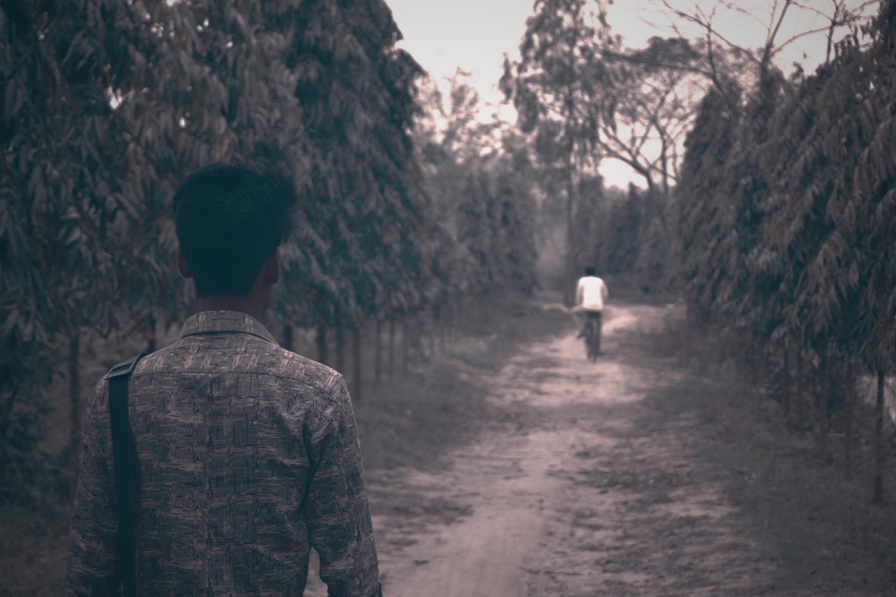 引越しの一括見積もりは本当に安いのか徹底検証しますか？