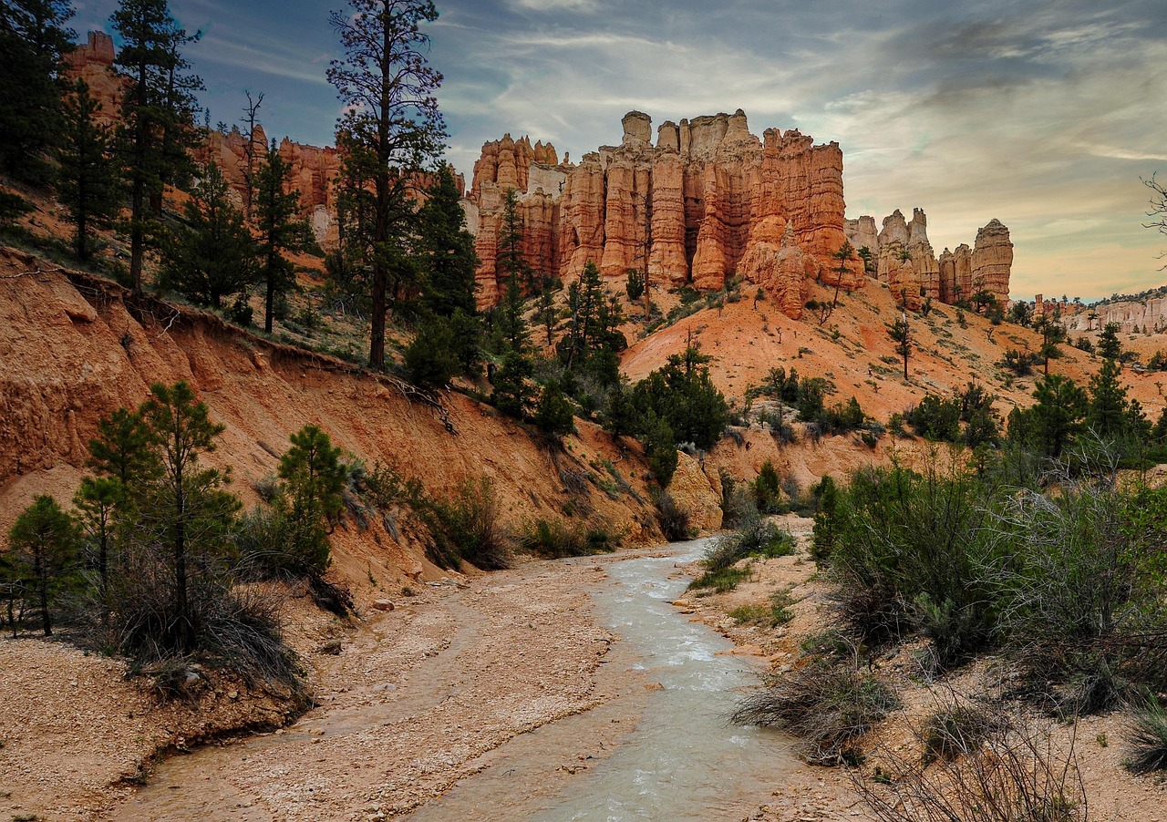 引越し大手と地元業者の比較でどちらが得か？