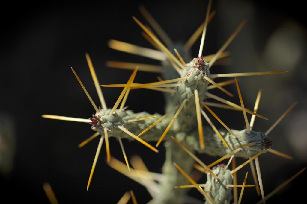 悪質業者を見分ける方法は？