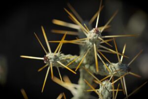 悪質業者を見分ける方法は？