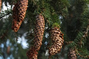 訪問なしでできる見積の取得方法は？