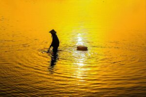 引越しの一括見積もりを後悔しない使い方は？