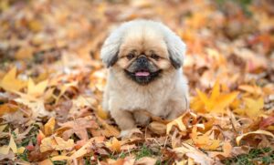 料金比較表を使って知っておきたいサービスの選び方は？