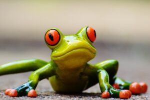引越しの見積もりでステマを見抜く方法は？